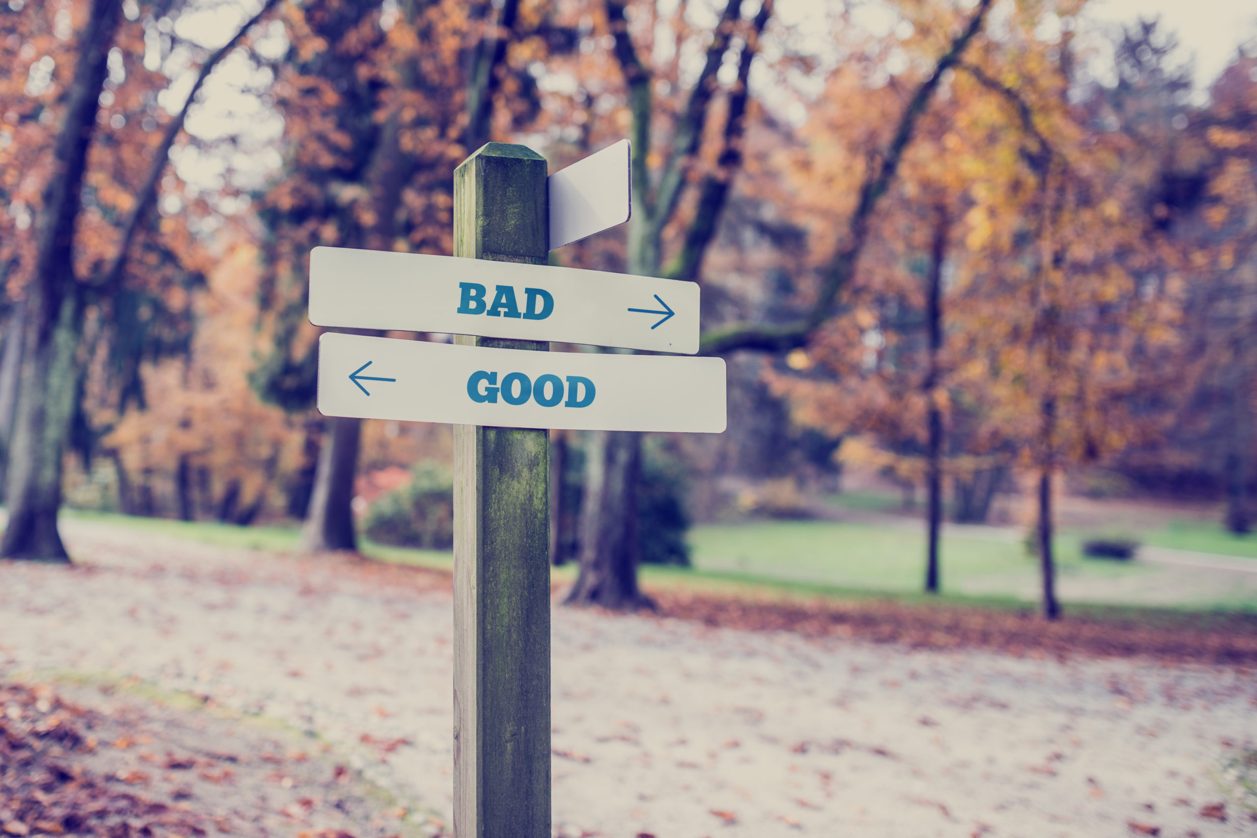 Rustic wooden sign in an autumn park with the words Bad – Good